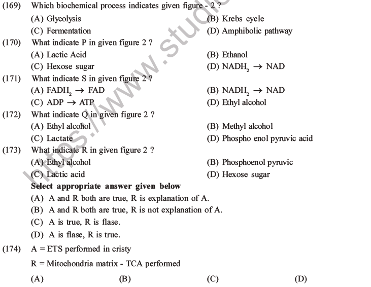 NEET Biology Respiration MCQs Set A, Multiple Choice Questions